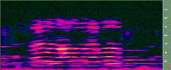 Noise reduced