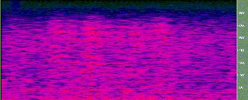 Noisy